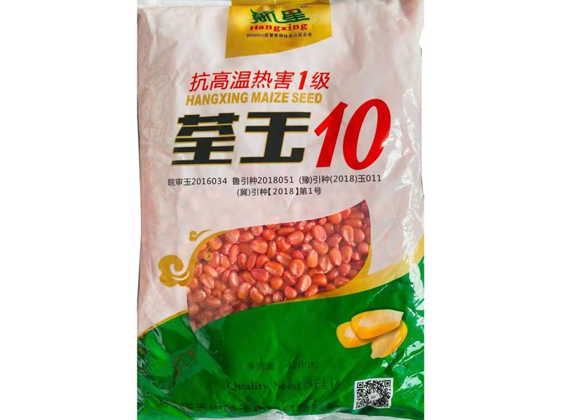 荃玉10號(hào)